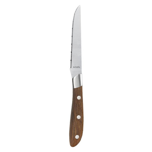 Steakmes 22cm achille rvs